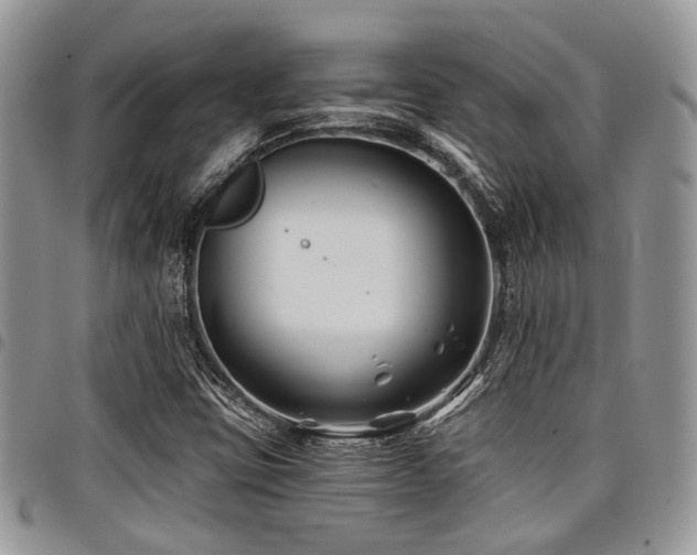 X0000098031403200803281358