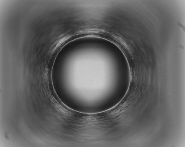 X0000098031404200803281358
