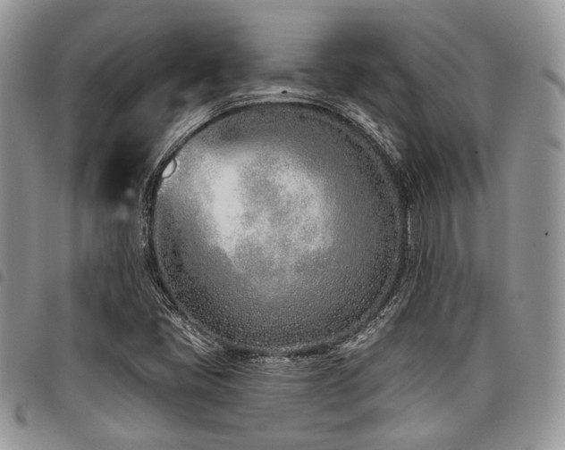X0000098031405200803281358
