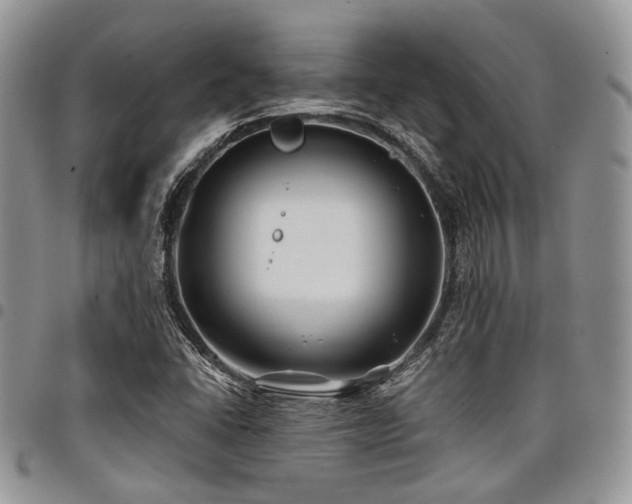 X0000098031406200803281358