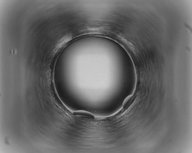 X0000098031411200803281358