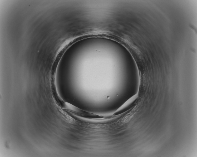 X0000098031412200803281358