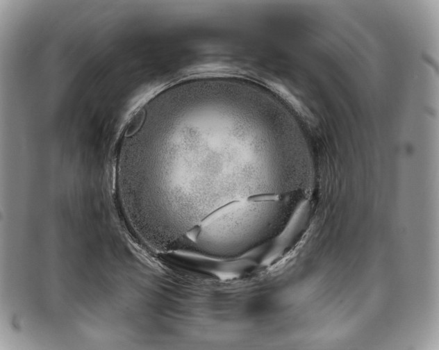 X0000098031413200803281358