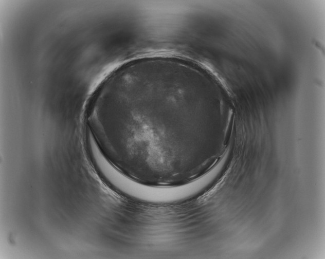 X0000098031414200803281358
