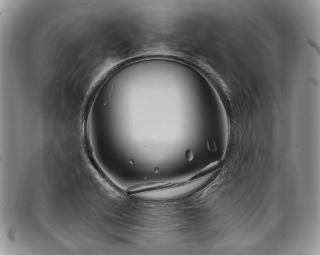 X0000098031416200803281358