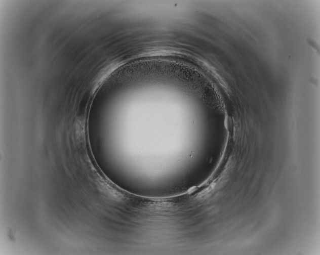 X0000098031417200803281358