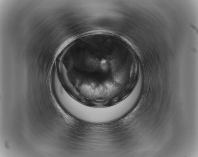 X0000098031418200803281358