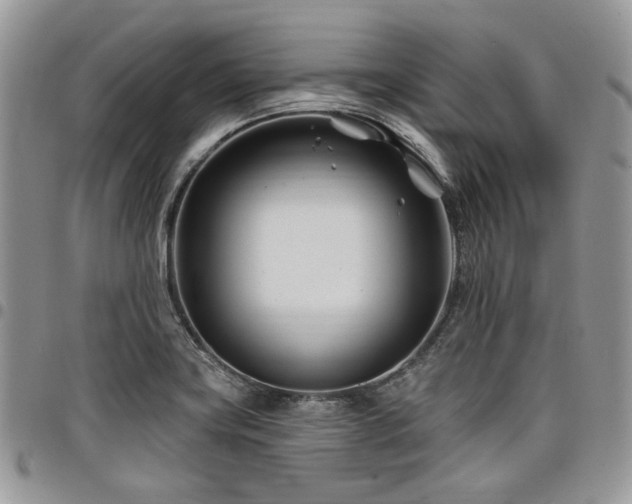 X0000098031419200803281358
