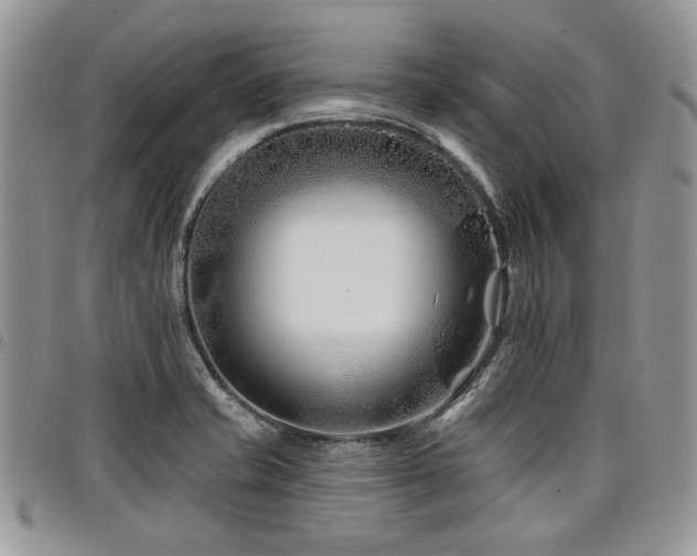 X0000098031421200803281358