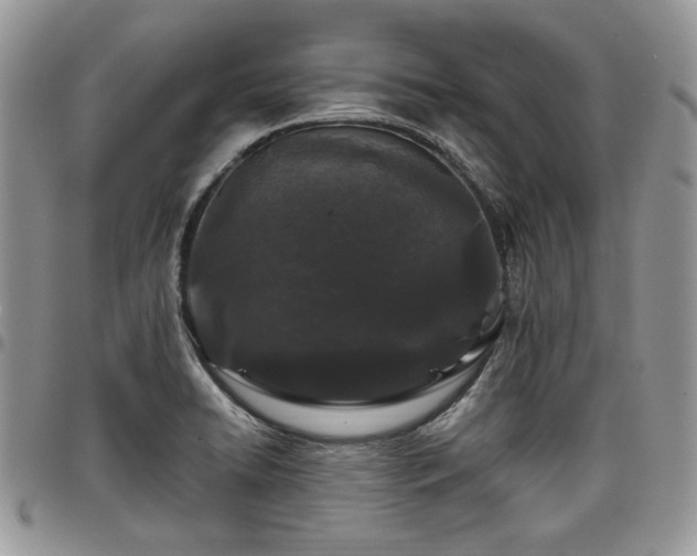 X0000098031422200803281358