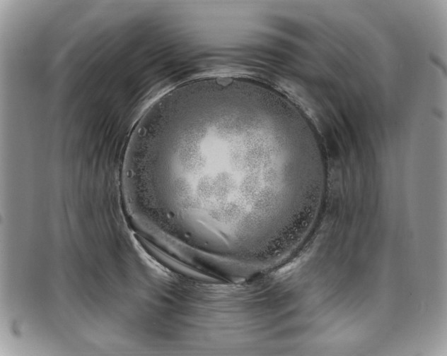 X0000098031425200803281358