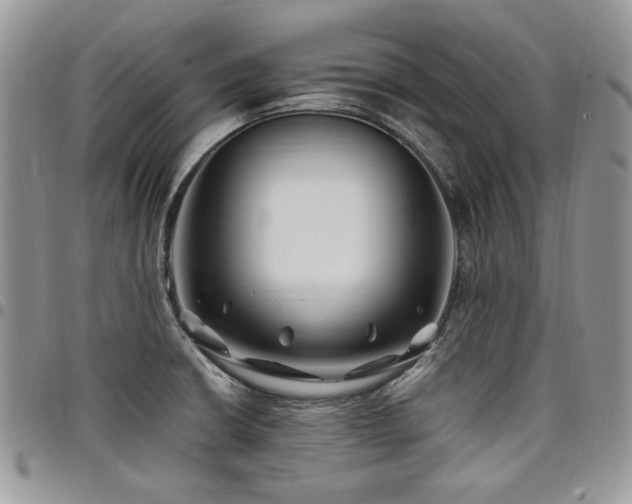 X0000098031426200803281358