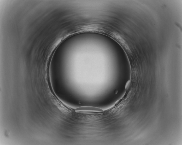 X0000098031427200803281358