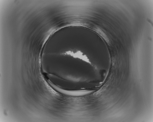X0000098031428200803281358