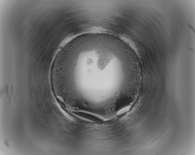 X0000098031429200803281358