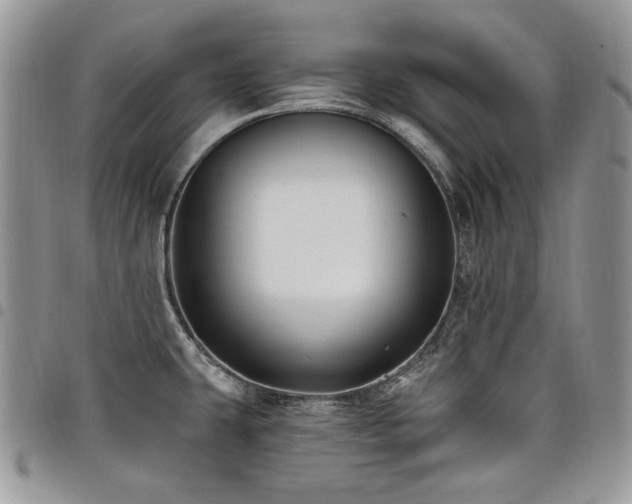 X0000098031431200803281358