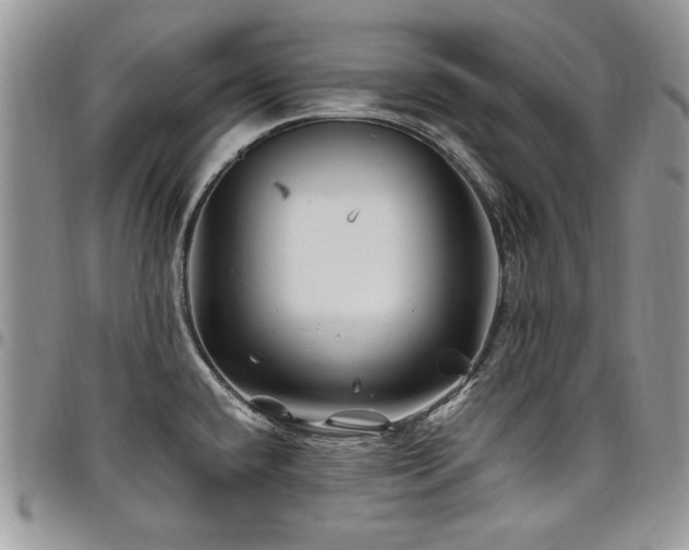X0000098031432200803281358