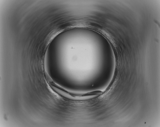 X0000098031433200803281358