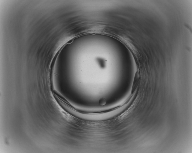 X0000098031434200803281358