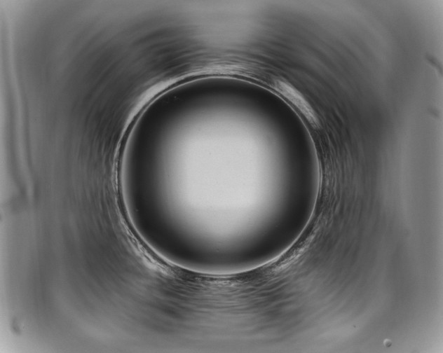 X0000098031436200803281359