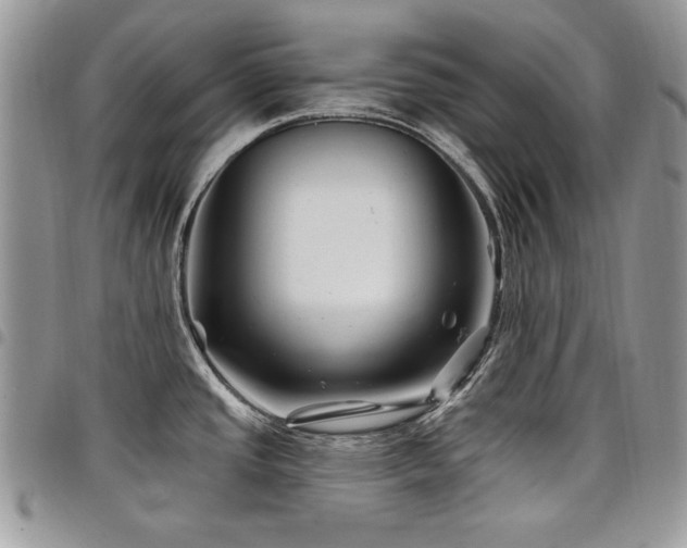 X0000098031437200803281359