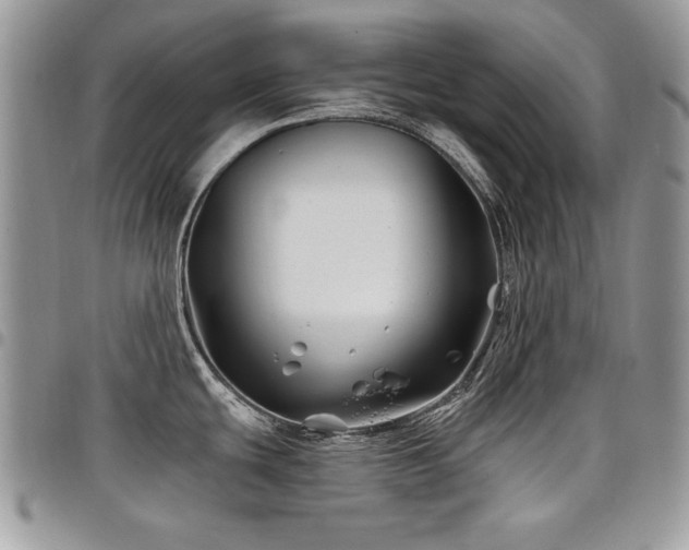 X0000098031439200803281359
