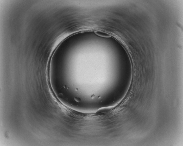 X0000098031440200803281359
