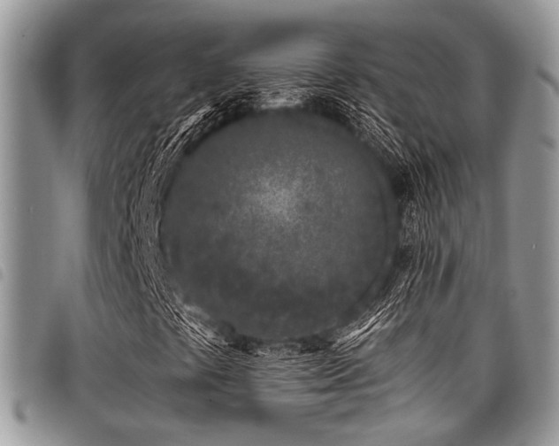 X0000098031441200803281358