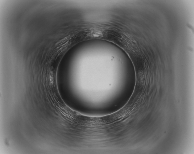 X0000098031442200803281358