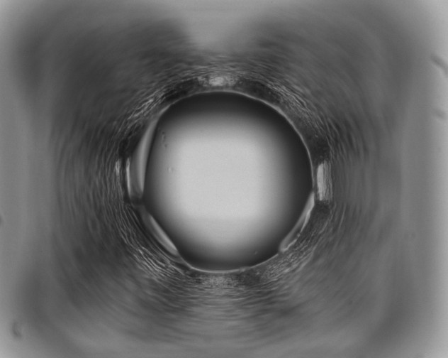 X0000098031443200803281358