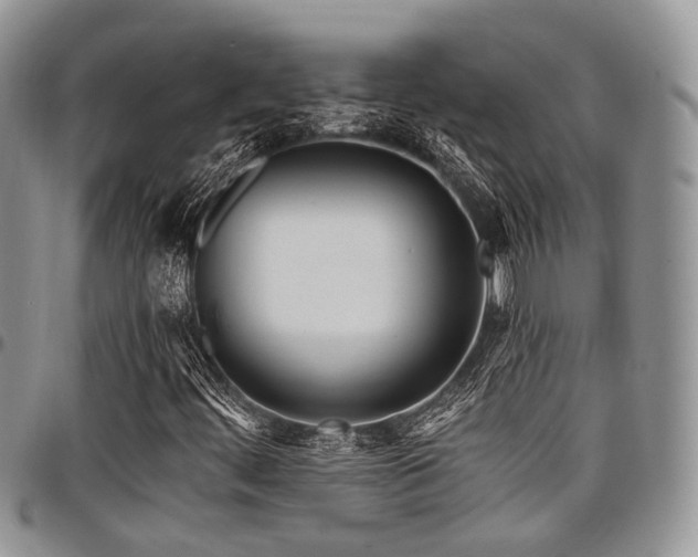 X0000098031444200803281358