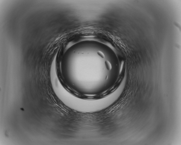 X0000098031445200803281358