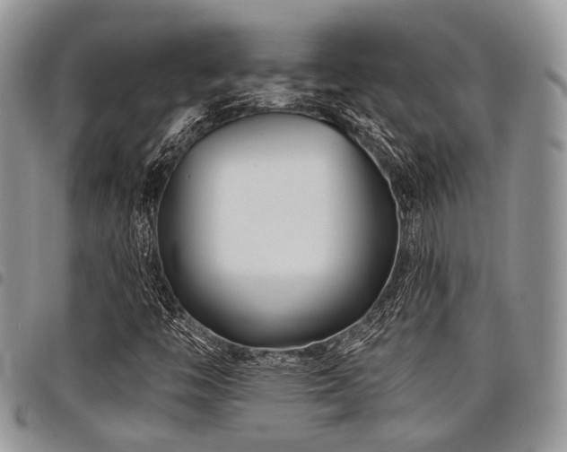 X0000098031446200803281358