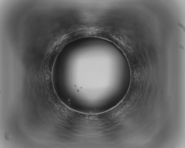 X0000098031447200803281358