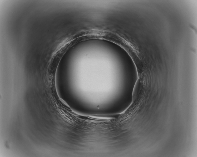 X0000098031448200803281358