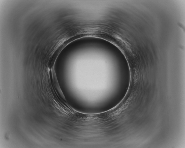 X0000098031449200803281358
