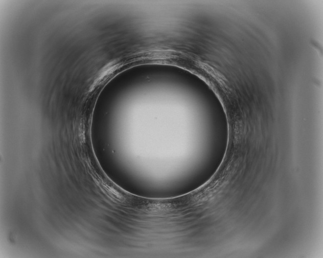 X0000098031451200803281358