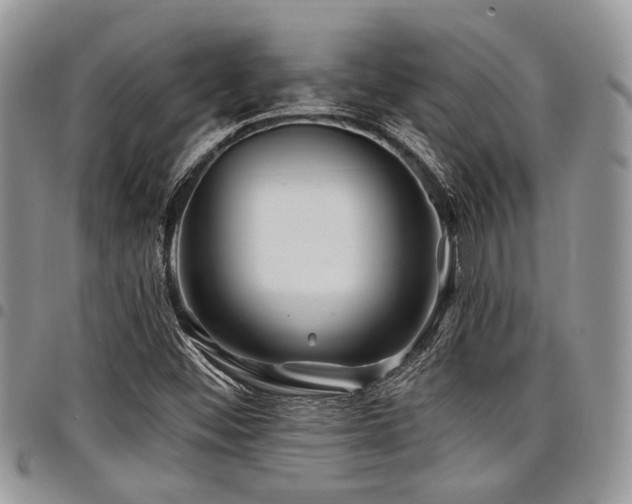 X0000098031452200803281358