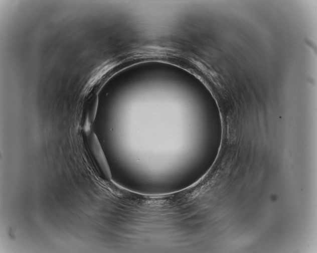 X0000098031453200803281358