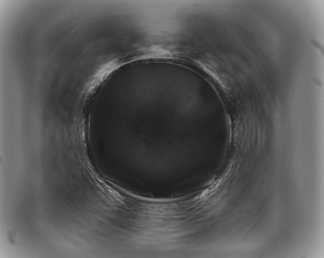 X0000098031455200803281358