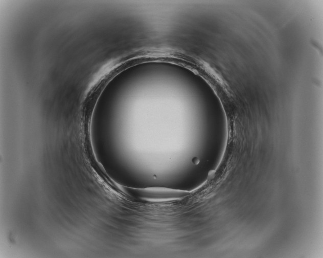 X0000098031456200803281358
