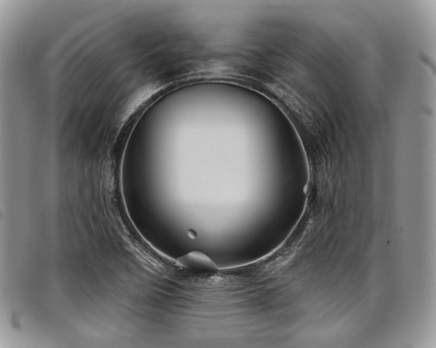 X0000098031458200803281358