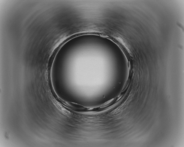X0000098031460200803281358