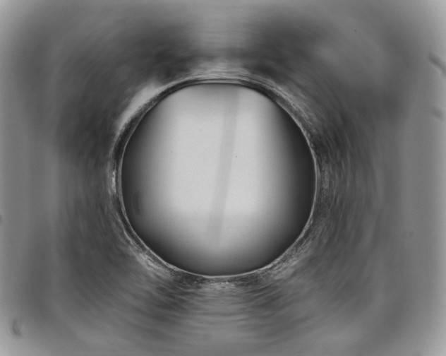 X0000098031462200803281358