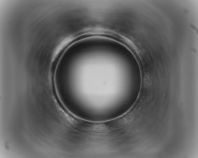 X0000098031464200803281358