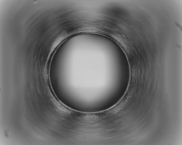 X0000098031466200803281358