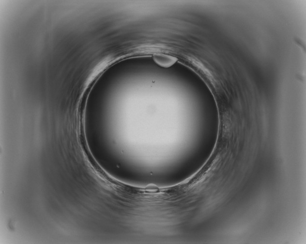 X0000098031467200803281358