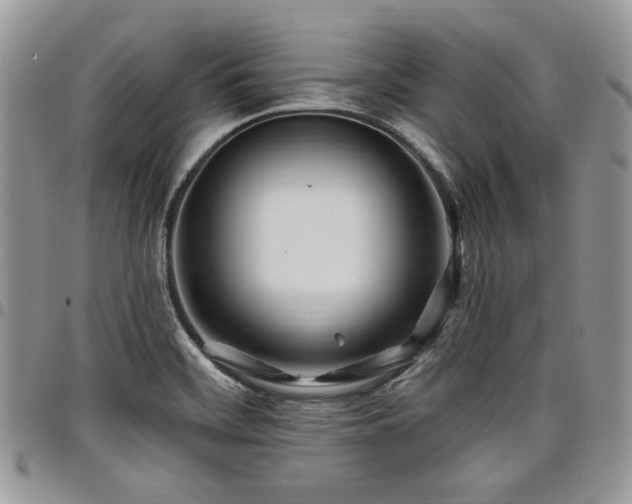 X0000098031468200803281358