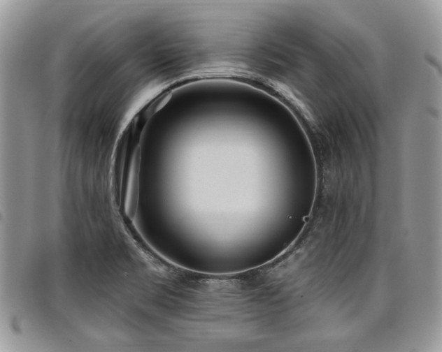 X0000098031469200803281358