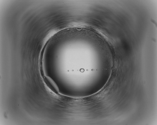 X0000098031471200803281358